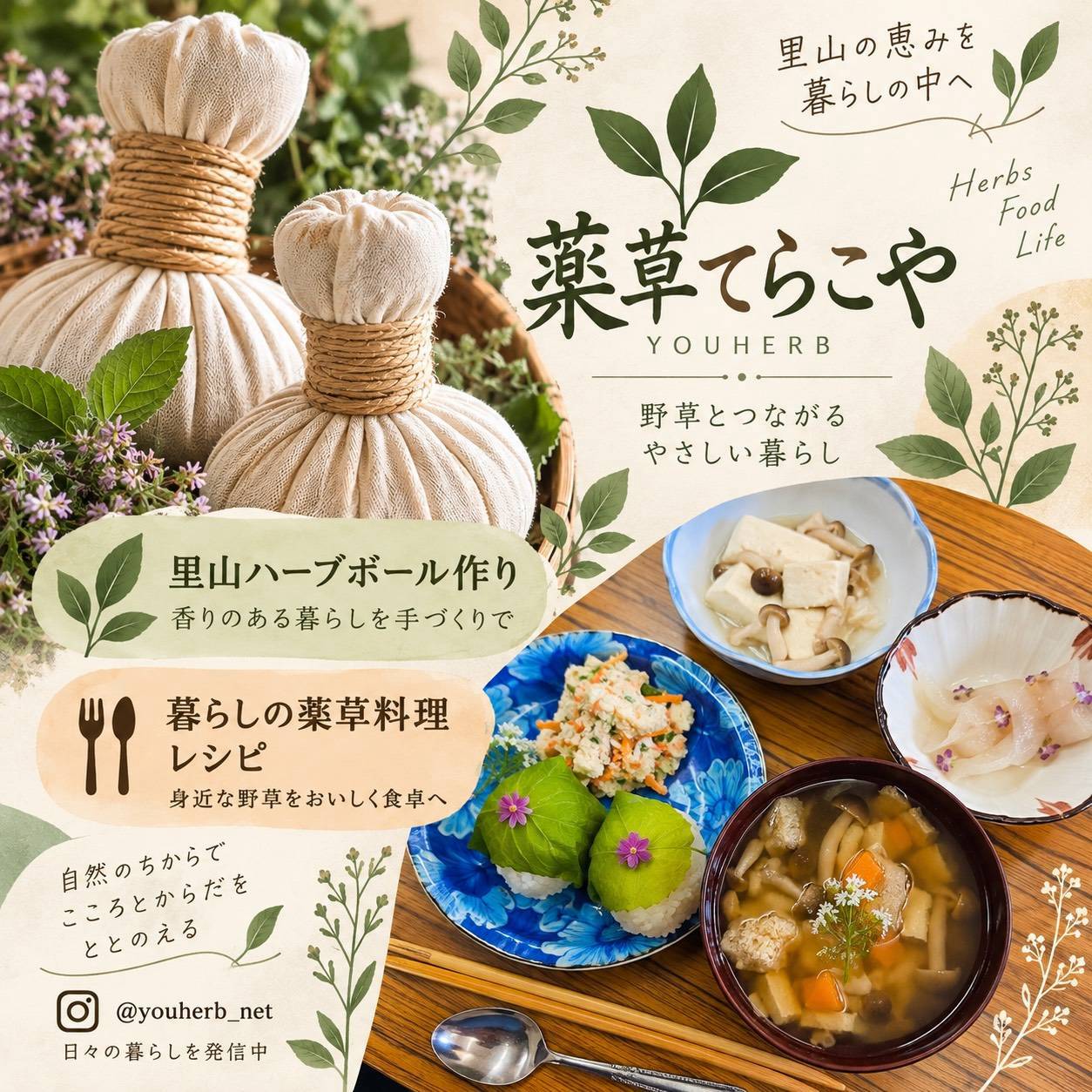里山ハーブボールと薬草料理を紹介する薬草てらこやの案内