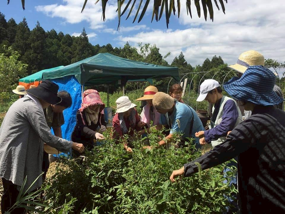 参加者が集まり、野草に触れている様子